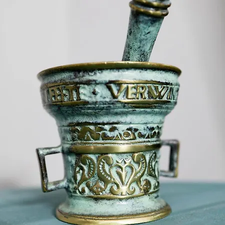 Grey Symphony Lägenhet Timişoara