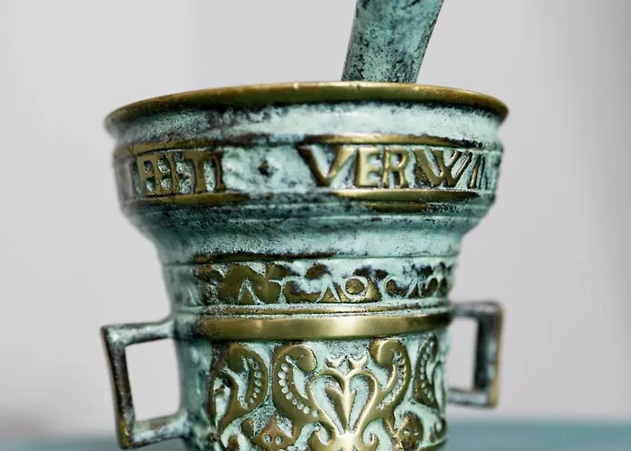 Grey Symphony شقة تيميشورا