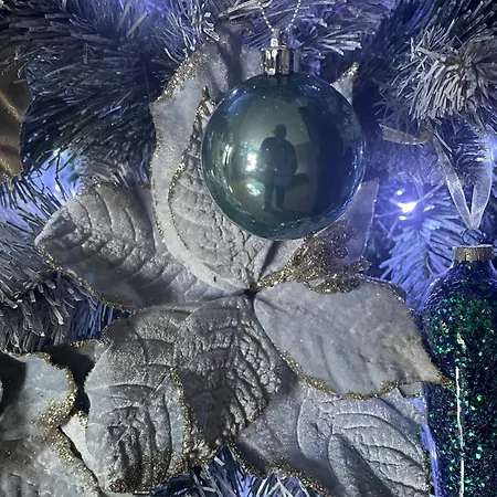 Апартаменты Grey Symphony Тимишоара