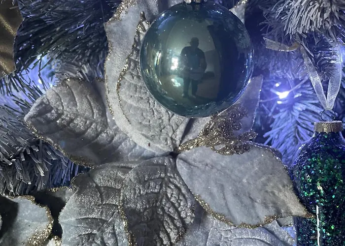 Apartamento Grey Symphony Timişoara