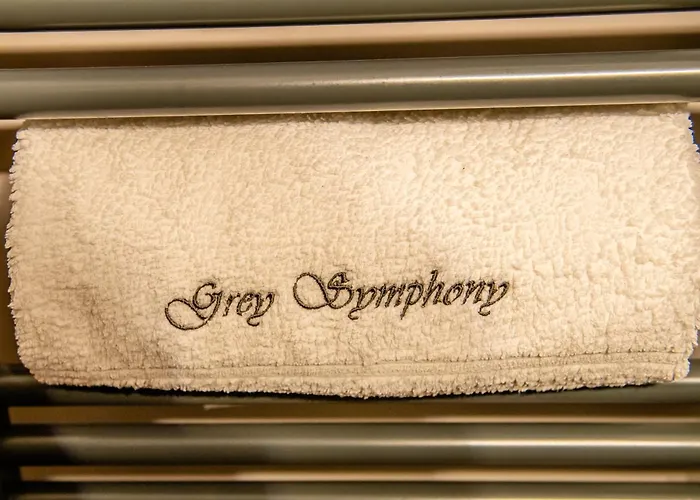 Grey Symphony * Timişoara